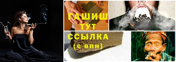 мяу мяу мука Алзамай