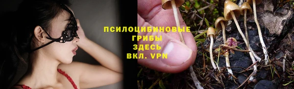 мяу мяу мука Алзамай