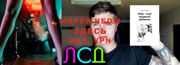 мяу мяу мука Алзамай