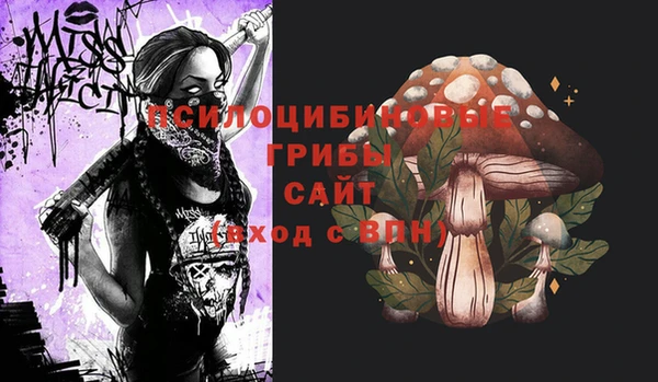 бутират Алексеевка
