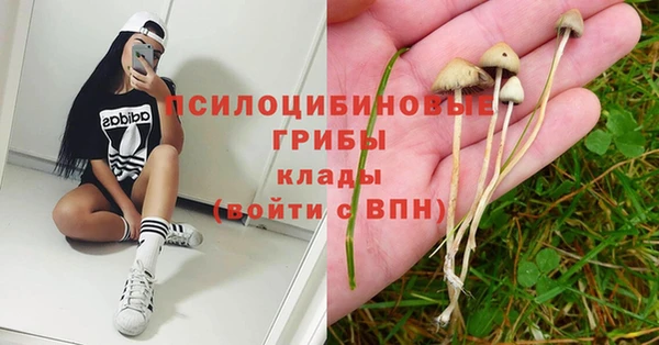 мяу мяу мука Алзамай